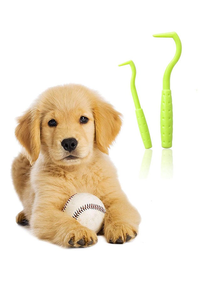Golden Arrows Pets Flea Tweezers - 9 Grams - Image 1