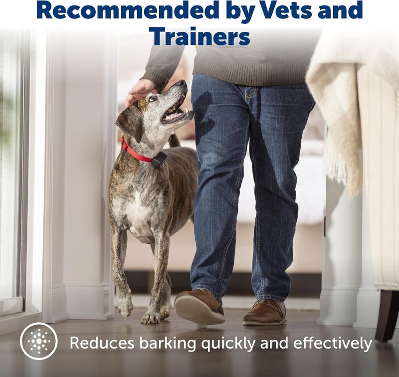 PetSafe Basic Bark Control Collar for Dogs - Waterproof Anti-Bark Training Device with Static Correction - Image 2