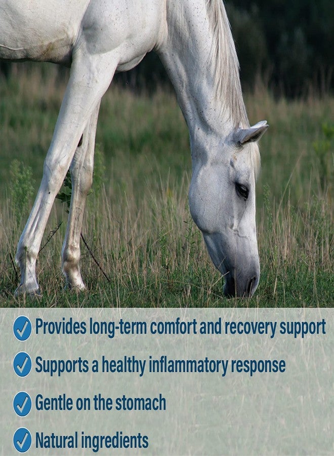 Absorbine Bute-Less Long-Term Horse Comfort & Recovery Supplement Solution, Gentle on Stomach, Devil's Claw, Vitamin B-12, Yucca, 32oz / 32 Day Supply - Image 4