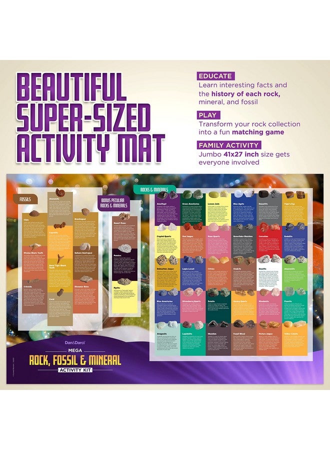 Dan&Darci Rock Collection For Kids. Includes 250+ Bulk Rocks, Gemstones & Crystals + Genuine Fossils And Minerals - 2 Lbs. - Geology Science Stem Toys, Gifts For Boys & Girls Ages 6+. Earth Science Activity - Image 3