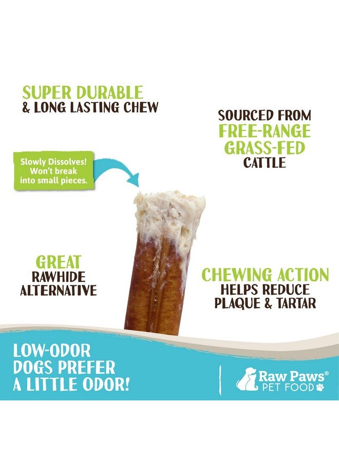 Raw Paws Thin Bully Sticks for Small Dogs, 6" (15 Pack) - Low Odor Bully Sticks for Puppies - Free-Range Pizzle Sticks for Dogs - Dog Bully Sticks for Dogs - Puppy Bully Sticks - Bully Bones - Image 2