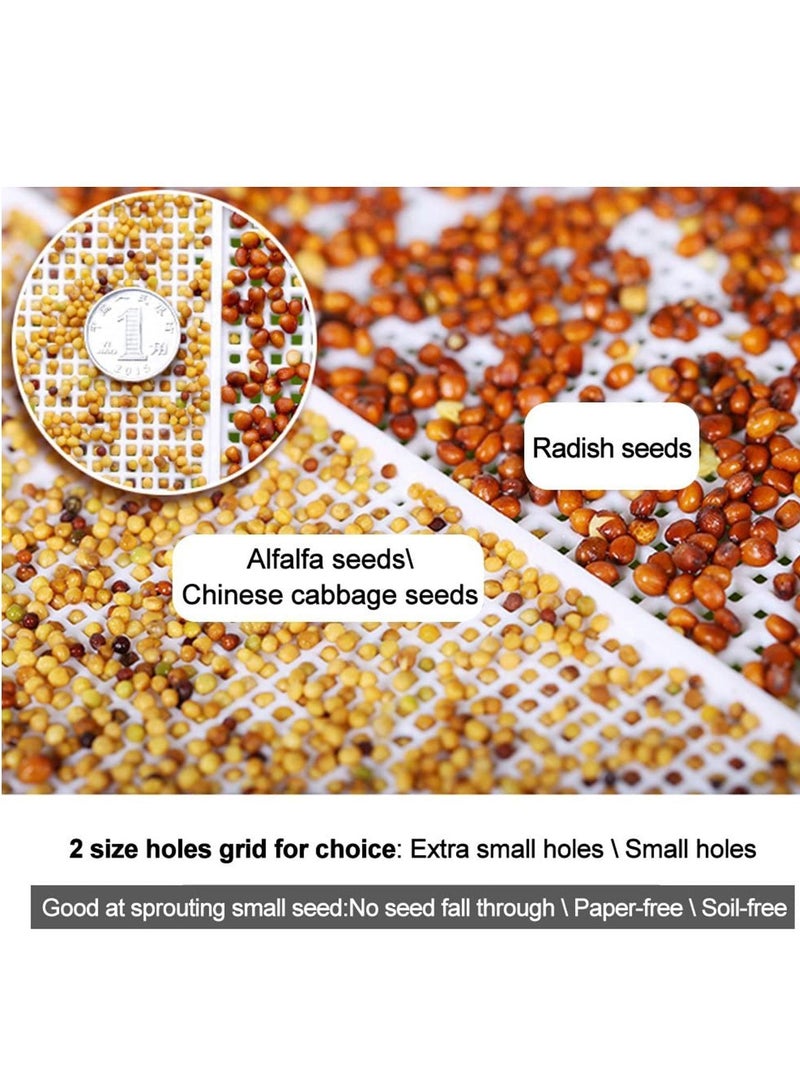 Y&D Seedling Trays, Seed Germination Tray, Sprouter BPA Free Nursery Sprouting Kit for Wheatgrass Soybean Mung Hydroponics Planting Garden Home Office 1 pcs - Image 5