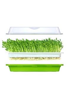 Y&D Seedling Trays, Seed Germination Tray, Sprouter BPA Free Nursery Sprouting Kit for Wheatgrass Soybean Mung Hydroponics Planting Garden Home Office 1 pcs  - Image 1