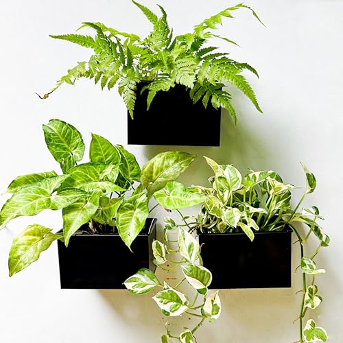 LáLáGreen LaLaGreen Wall Planter - 3 Pack, 6 Inch Wall Mount Planters for Succulents Black, Rectangular Hanging Metal Flower Pot, Long Window Boxes Fence Air Plants Holders Floating Garden Shelf for Deck Indoor - Image 1