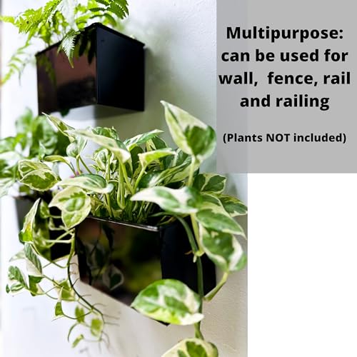 LáLáGreen LaLaGreen Wall Planter - 3 Pack, 6 Inch Wall Mount Planters for Succulents Black, Rectangular Hanging Metal Flower Pot, Long Window Boxes Fence Air Plants Holders Floating Garden Shelf for Deck Indoor - Image 5