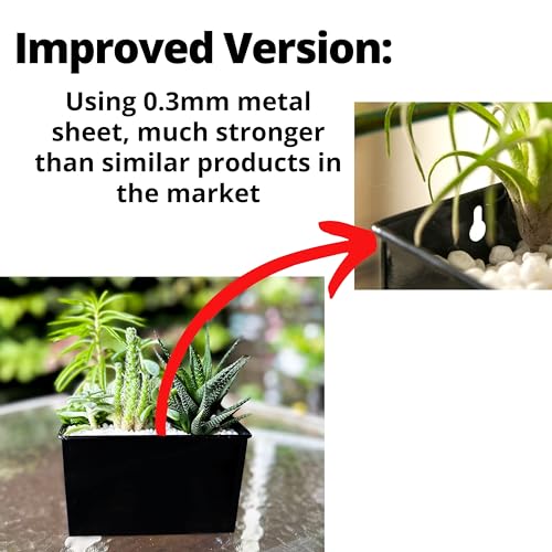 LáLáGreen LaLaGreen Wall Planter - 3 Pack, 6 Inch Wall Mount Planters for Succulents Black, Rectangular Hanging Metal Flower Pot, Long Window Boxes Fence Air Plants Holders Floating Garden Shelf for Deck Indoor - Image 3