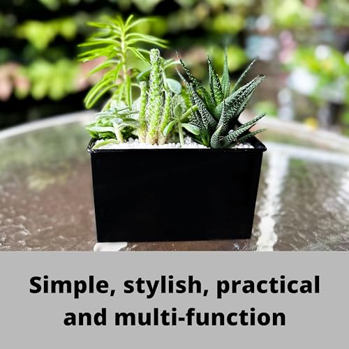 LáLáGreen LaLaGreen Wall Planter - 3 Pack, 6 Inch Wall Mount Planters for Succulents Black, Rectangular Hanging Metal Flower Pot, Long Window Boxes Fence Air Plants Holders Floating Garden Shelf for Deck Indoor - Image 4
