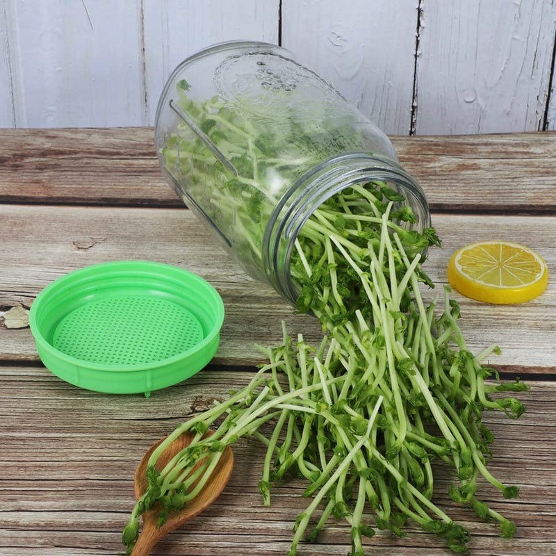 Picowe Picowe Plastic Sprouting Lids, Sprouting Jar Stands, for 86mm Wide Mouth Mason Jars, Canning Jars, Suit for Grow Bean Sprouts, Alfalfa, Salad Sprouts(16 Pack, Green)  - Image 4