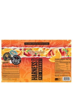 ARN ARN Harness Pre-Workout Drink  Key West Flavor 12 x 355ml  - Image 2