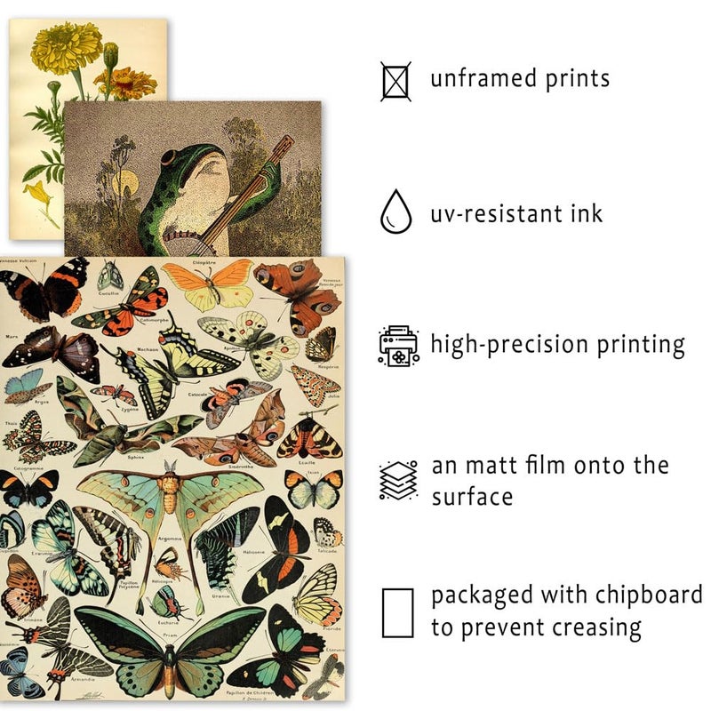 ANERZA 16 PCS Vintage Wall Art Decor, Botanical Cottagecore Wall Collage Kit for Bedroom, Farmhouse Posters for Room Aesthetic, Wall Prints Pictures for Living Room, Rustic Dorm Gallery Home Decor - Image 3
