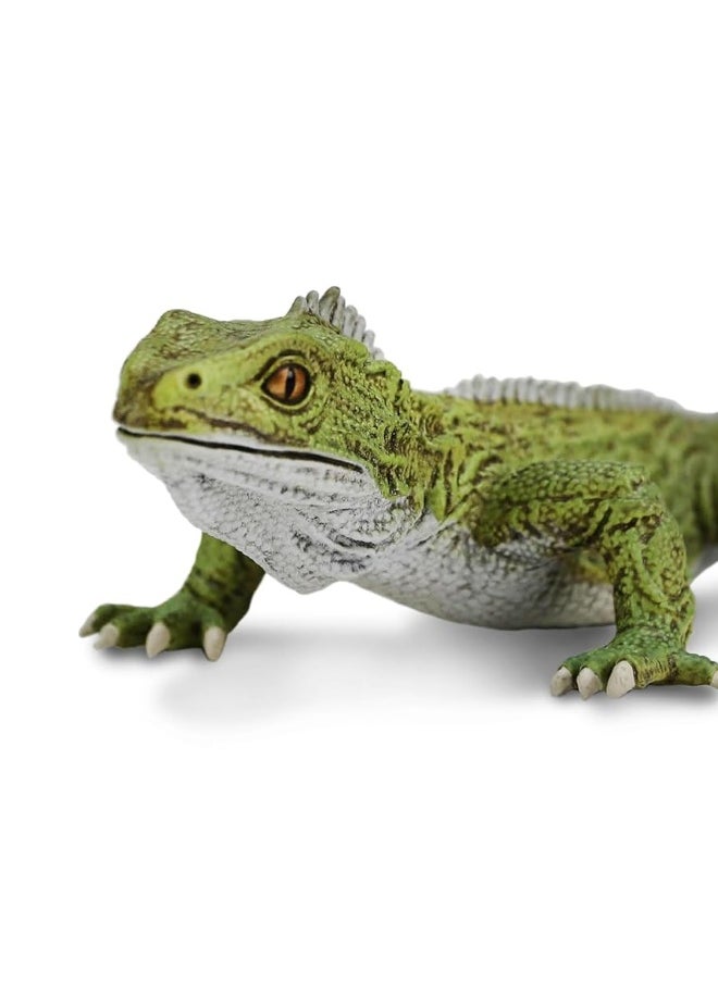 Safari Ltd - Safari Ltd. Tuatara Figurine - Detailed 7" Plastic Model Figure - Fun Educational Toy for Boys, Girls & Kids Ages 3+ - Image 1