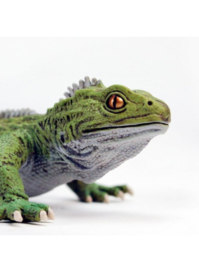 Safari Ltd - Safari Ltd. Tuatara Figurine - Detailed 7" Plastic Model Figure - Fun Educational Toy for Boys, Girls & Kids Ages 3+ - Image 1