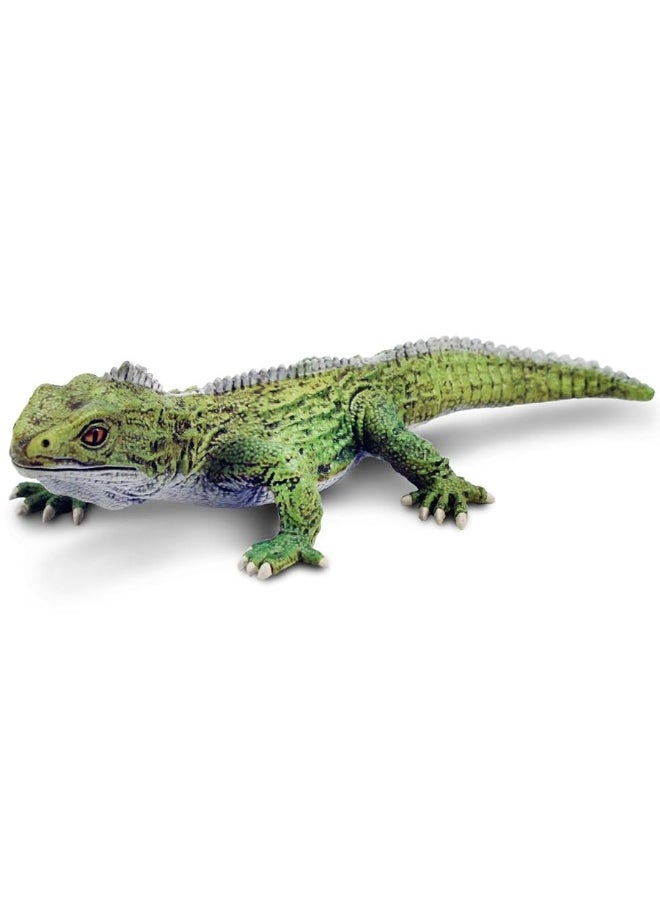 Safari Ltd - Safari Ltd. Tuatara Figurine - Detailed 7" Plastic Model Figure - Fun Educational Toy for Boys, Girls & Kids Ages 3+ - Image 1