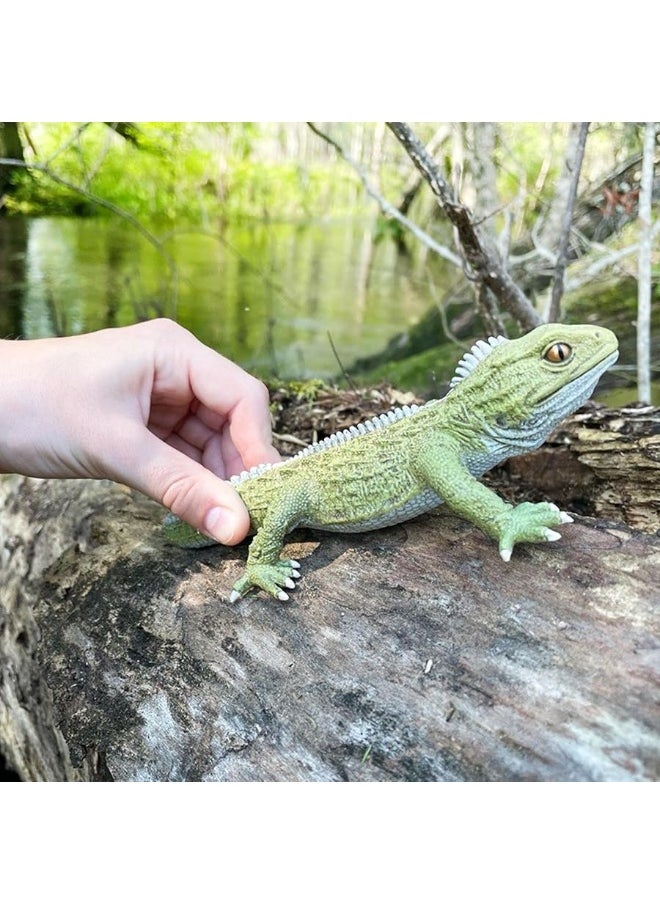 Safari Ltd - Safari Ltd. Tuatara Figurine - Detailed 7" Plastic Model Figure - Fun Educational Toy for Boys, Girls & Kids Ages 3+ - Image 1