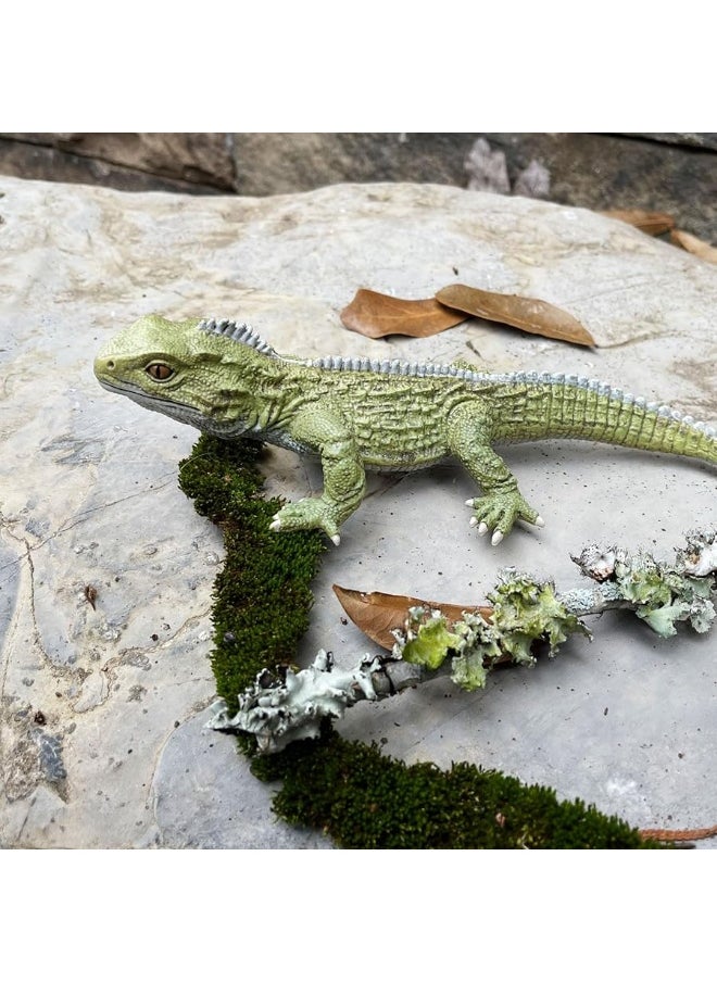 Safari Ltd - Safari Ltd. Tuatara Figurine - Detailed 7" Plastic Model Figure - Fun Educational Toy for Boys, Girls & Kids Ages 3+ - Image 1