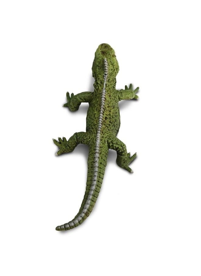 Safari Ltd - Safari Ltd. Tuatara Figurine - Detailed 7" Plastic Model Figure - Fun Educational Toy for Boys, Girls & Kids Ages 3+ - Image 1