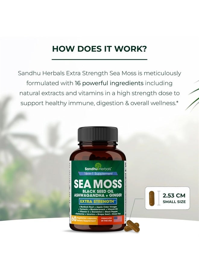SANDHUHERBALS - Sandhu Herbals Sea Moss 8000mg Black Seed Oil 5000mg Ashwagandha 2000mg Ginger 500mg Burdock Root, Turmeric 6500mg,Black Pepper 250mg | All in 1 Supplement, 60 Capsules | Made in USA - Image 1