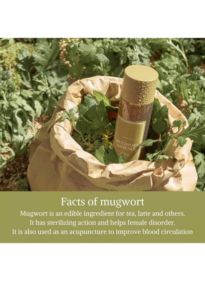 I'M FROM [I'm From] Miniatures of Rice Toner, Mugwort Essence, Fig Boosting Essence (Mugwort), Stocking Stuffers, Gifts for Women  - Image 4
