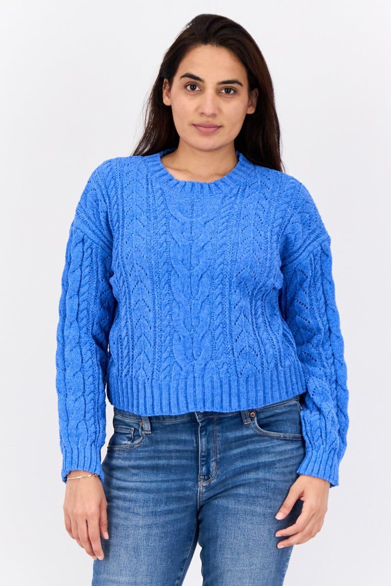 Pink Rose Women Crew Neck Knitted Sweater, Blue - Image 1