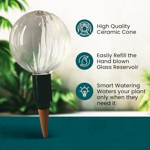 Blumat Glass Plant Self Watering Globes,Automatic Houseplant Drip Irrigation for Indoor Plants, Hanging Plants, Houseplants, Plant Garden Accessories,Vacation Plant Savers,Large Globe Small Adapter - Image 5