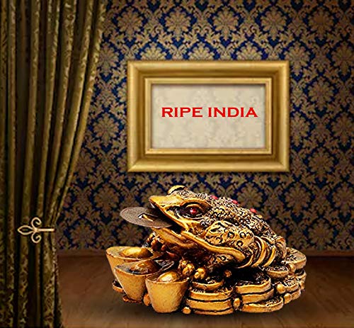 RIPE INDIA® Brass Feng Shui Money Frog Statue with Coin - Image 3