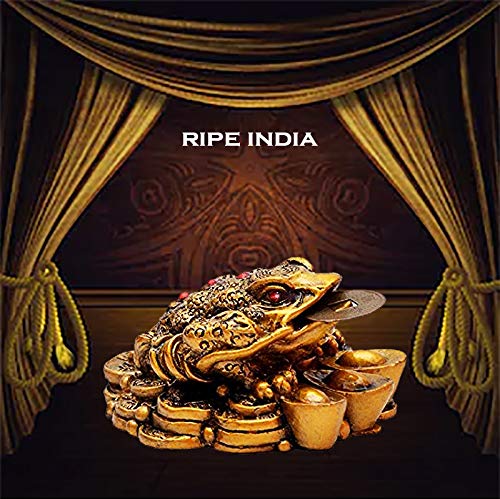 RIPE INDIA® Brass Feng Shui Money Frog Statue with Coin - Image 2