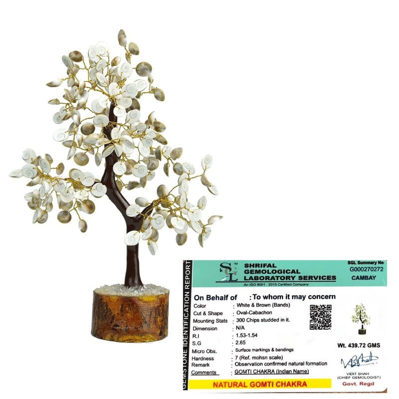 GOLDEN QUARTZ - THE CRYSTAL HUB GOLDEN QUARTZ THE CRYSTAL HUB Certified Gomti Chakra Tree with Certificate Natural Gomti 300 Beads for Good Health Wealth Prosperity Gifting Beads 300 