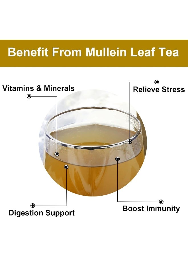 FullChea فول تشيا - أكياس شاي أوراق المولين, 20 كيس شاي, 3 جرام/كيس - أكياس شاي مولين الطبيعية للرئتين - خالية من الكائنات المعدلة وراثيًا - خالية من الكافيين - شاي أعشاب صحي طبيعي لدعم إزالة السموم والجهاز التنفسي - Image 5