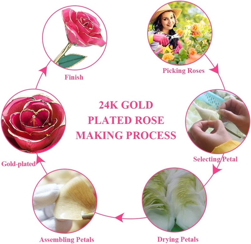 klarako 24K Beige Rose Christmas Gifts for Her, Dipped Gold Rose Eternity Love Real Golden Plated Preserved Eternal Flower with Rose Stand Present for Wife/Mom/Grandma (Beige) - Image 3