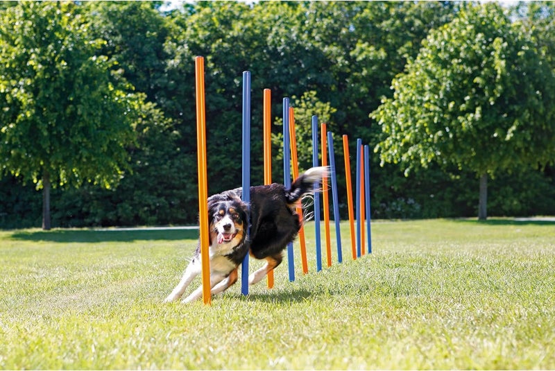 Trixie Dog Agility Slalom Course - 12 Adjustable Weave Poles Backyard Set - Portable Training Equipment with Carrying Bag & Training Guide - for All Breeds - Image 2