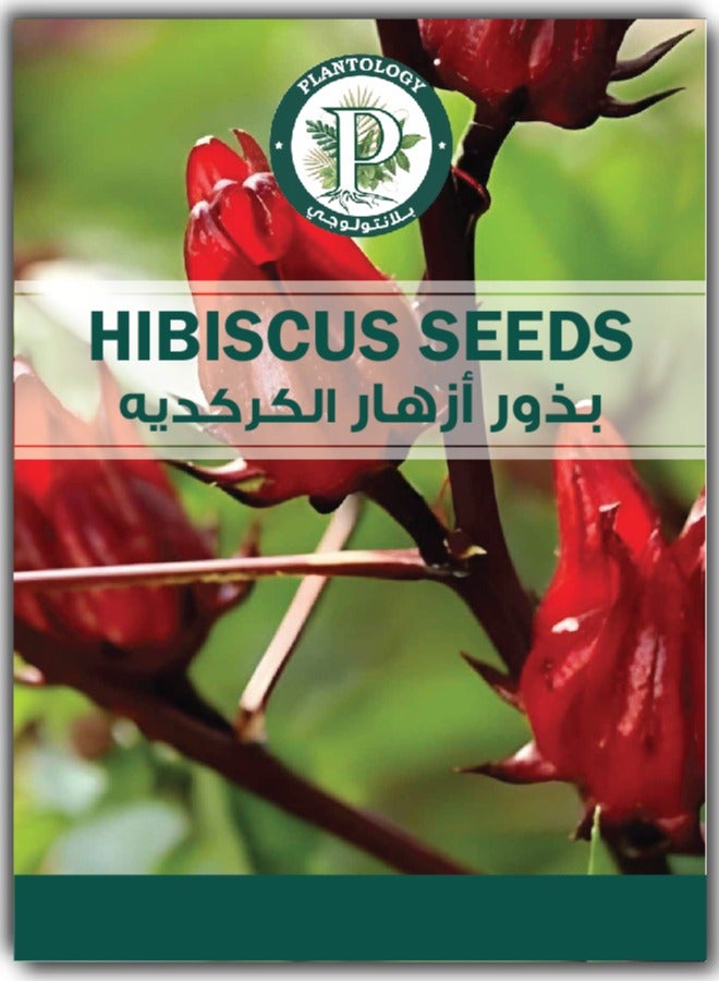 بذور الكركديه العضوية للزراعة - بذور الكركديه الطبيعية عالية الجودة للزراعة - بذور الكركديه الطازجة للزراعة - Image 1