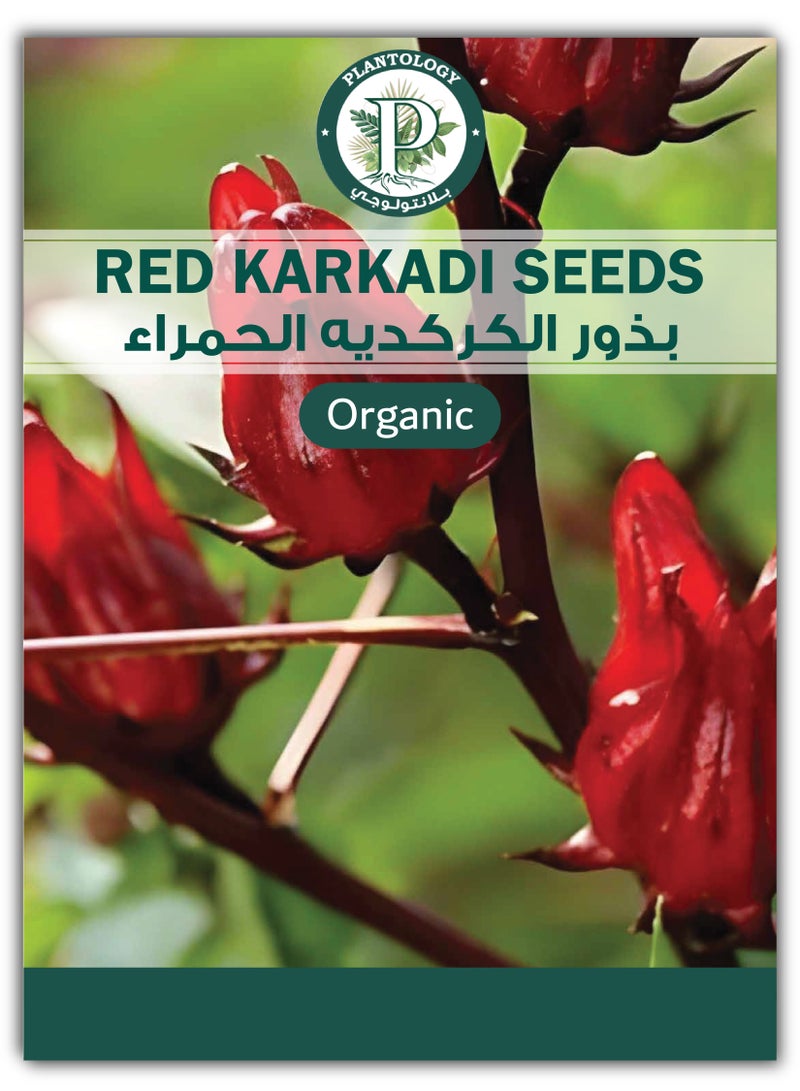 بذور الكركديه العضوية للزراعة - بذور الكركديه الطبيعية عالية الجودة للزراعة - بذور الكركديه الطازجة للزراعة - Image 1
