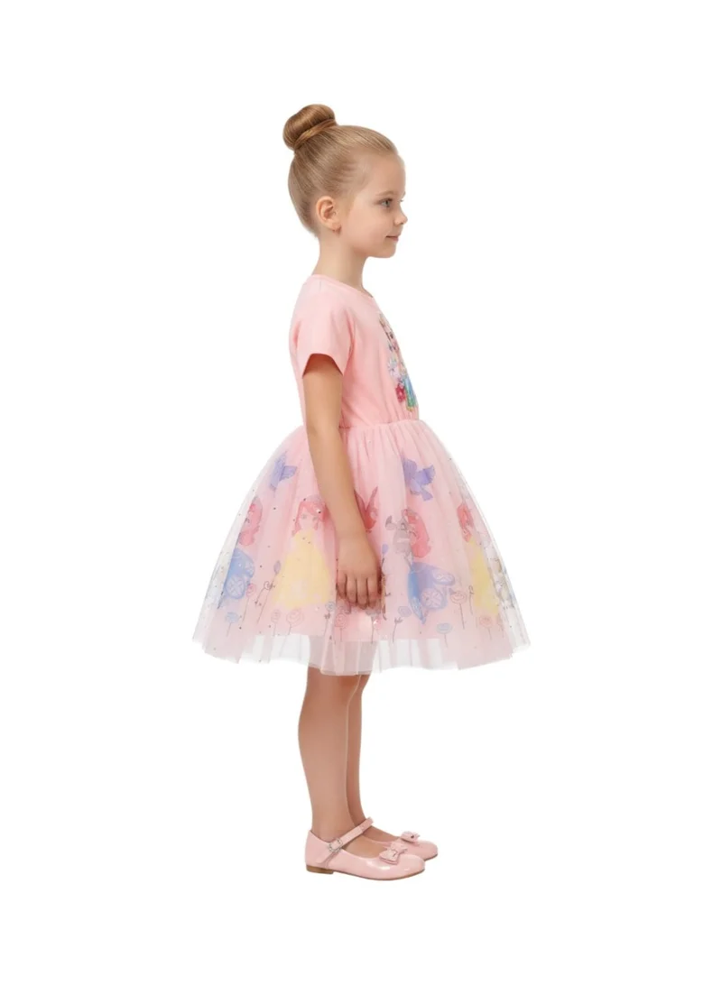 Bidani  Elsa and Anna Winter Queen Pink Dress for Women | Best Price UAE