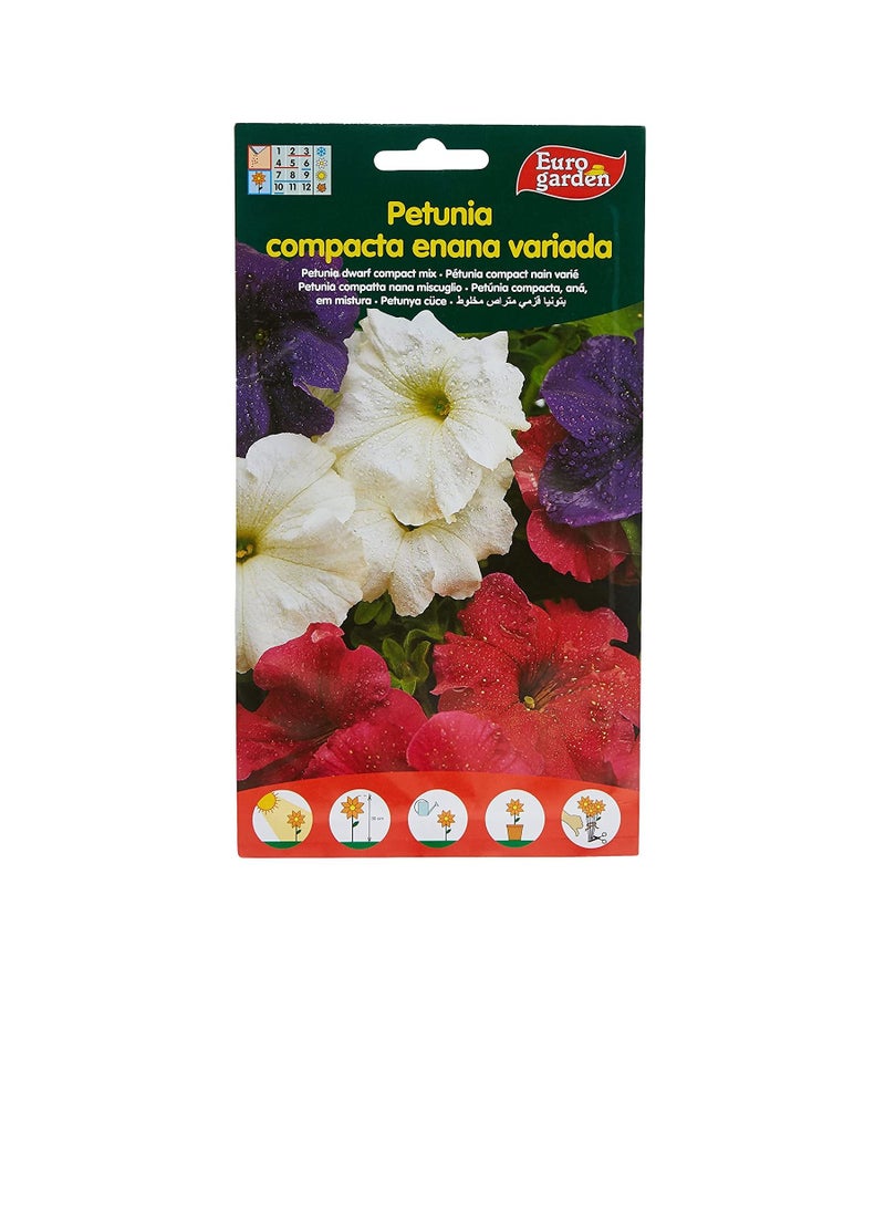 يورو Euro Garden Dwarf Compact مختلطة بذور البطونية - Image 2