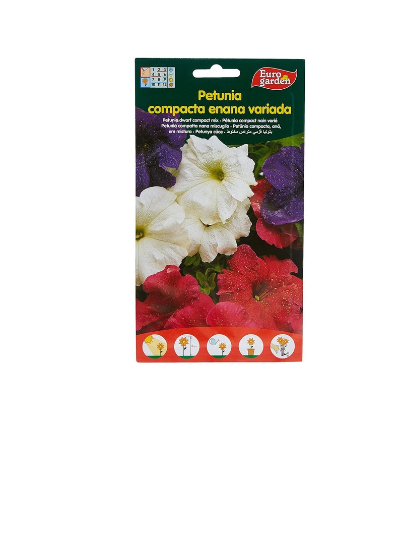 يورو Euro Garden Dwarf Compact مختلطة بذور البطونية - Image 3