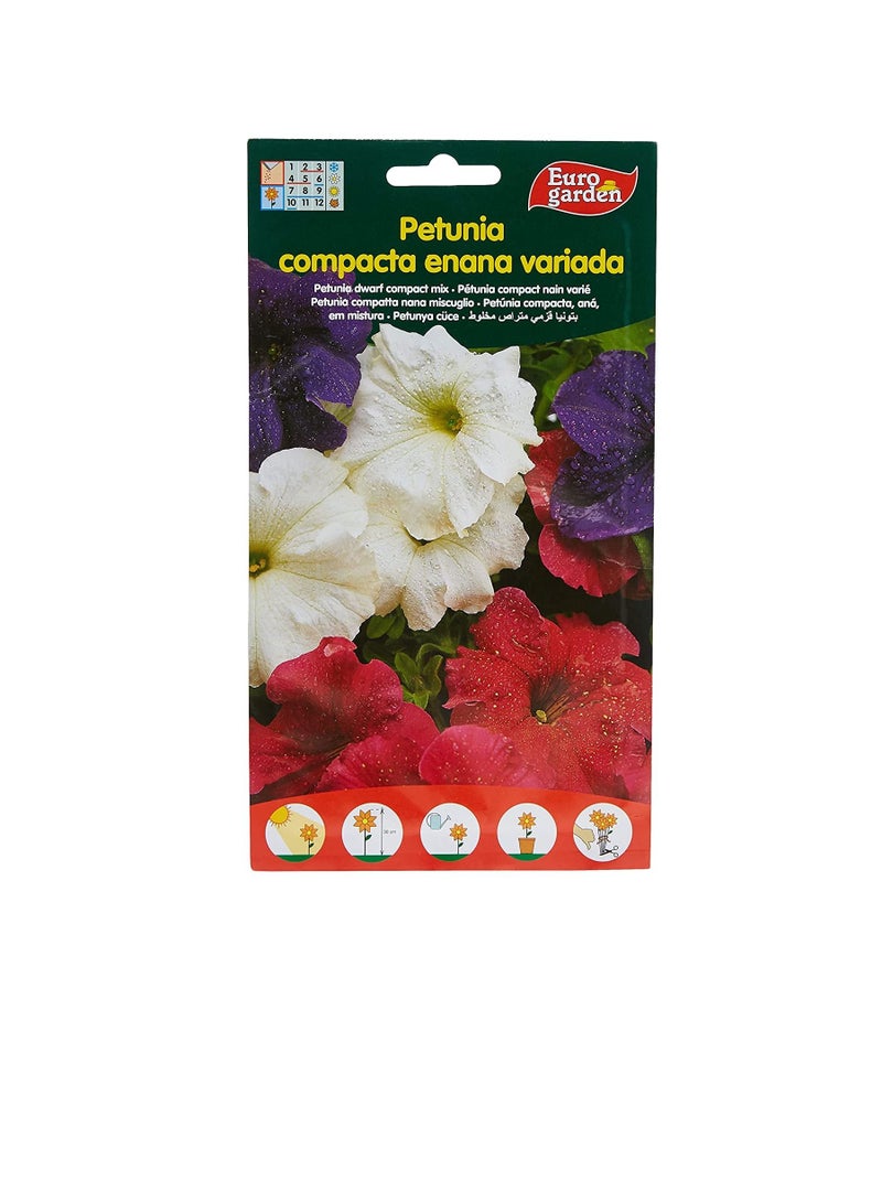 يورو Euro Garden Dwarf Compact مختلطة بذور البطونية - Image 1