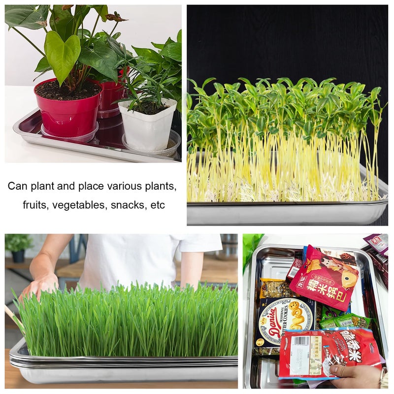 RooTrimmer 5 Pack Large Stainless Steel Seedling Trays, Heavy Duty Metal Water Catch Trays for Nursery Pots-Transplant, Seed Germination & Propagation Flats (17.5 inchÃ—13.56 inch, 1.18" Height) - Image 5