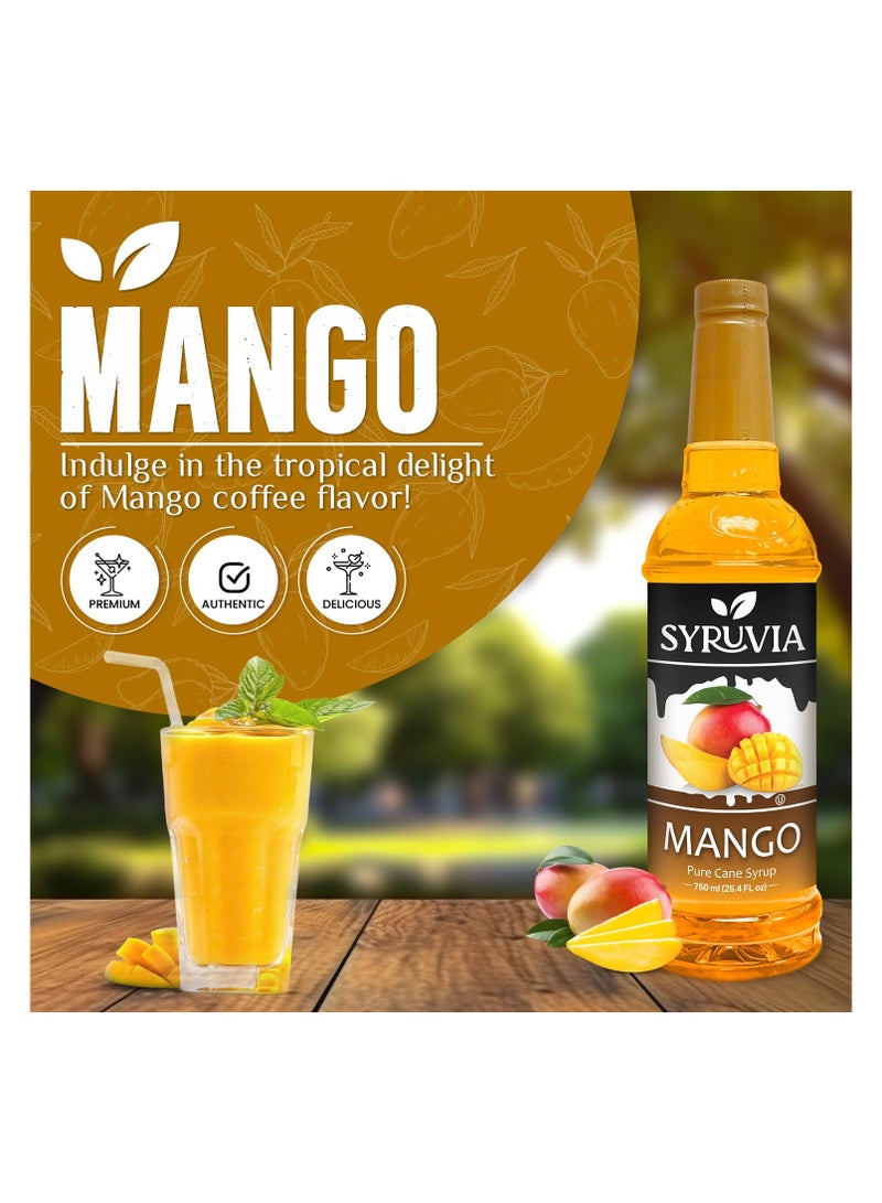 Syruvia Syruvia Mango Syrup - Premium Flavoring Syrup for Tea, Italian Sodas, Beverages, Desserts, Ice Cream, Cocktails & Mocktails - Kosher, Gluten Free - 750 ml. With Syrup Pump  - Image 2