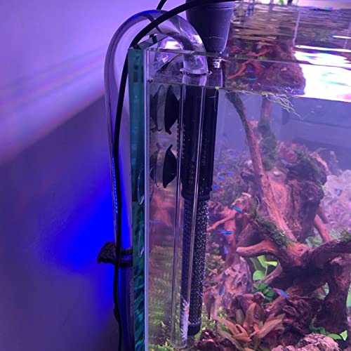 Caylingdee Poppy Pipe Glass Inflow Outflow Set Aquatic U Shape Inflow Pipe Set for Aquarium Planted Tank Filter 17mm for 16/22mm(5/8" ID) Tubing - Image 5