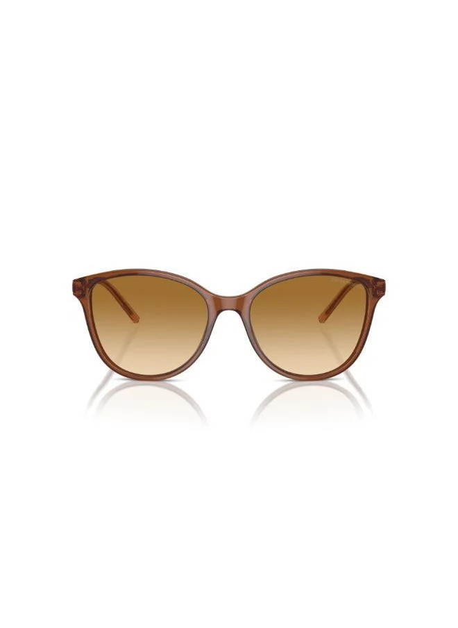 EMPORIO ARMANI 0Ea4220 Cateye Sunglasses