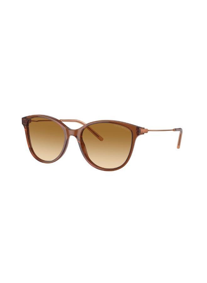 EMPORIO ARMANI - 0Ea4220 Cateye Sunglasses - Image 1