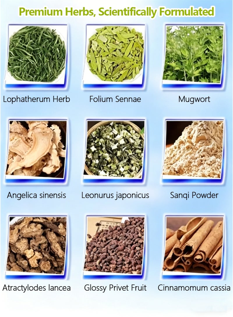 LYDIMOON Wormwood Slimming Belly Patch Detox Weight Loss Natural Herbal 10 Patches - Image 5
