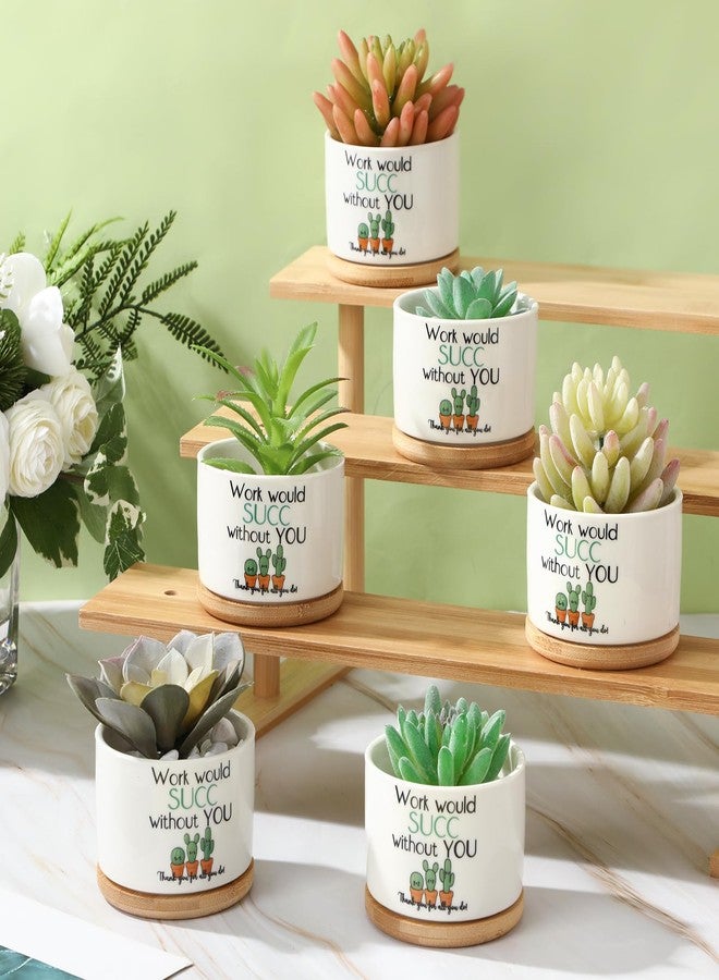 بوتشن مجموعة بوتشن من 6 قطع من أواني نباتات عصارية صغيرة من السيراميك مقاس 3.2 بوصة، هدايا تقدير للموظفين، صينية من الخيزران، ديكور مكتبي "لن ينجح العمل بدونك" لهدايا عيد الميلاد لزملاء العمل (النباتات غير متضمنة). - Image 4
