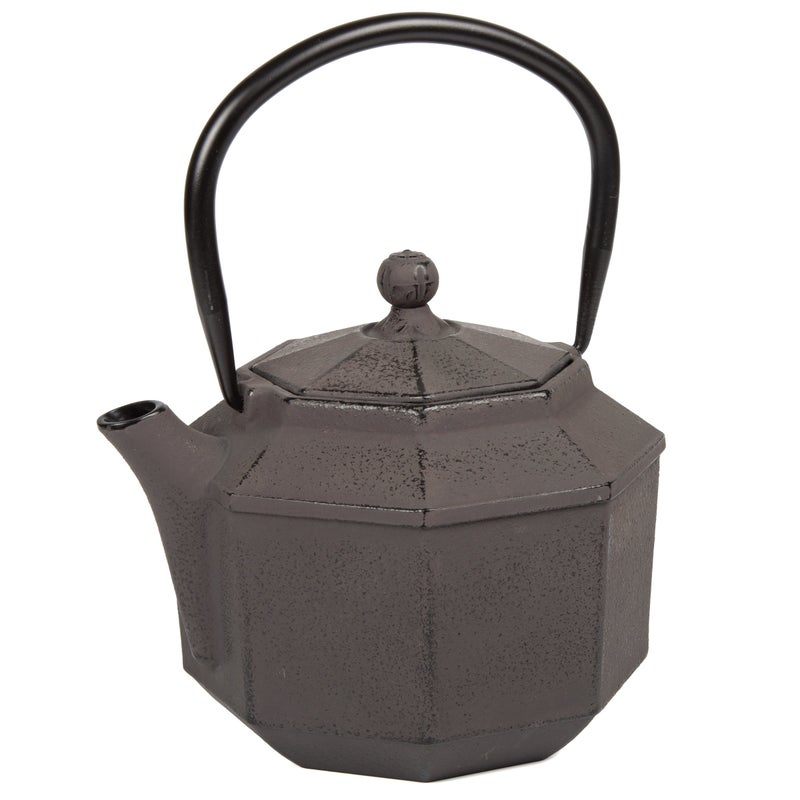 Creative Home Cast Iron Kyusu Teapot with Removable Stainless Infuser Basket RustResistant Interior Coating and HeatRetaining Build Elegant JapaneseStyle Tea Ritual Gift 34 oz Brown