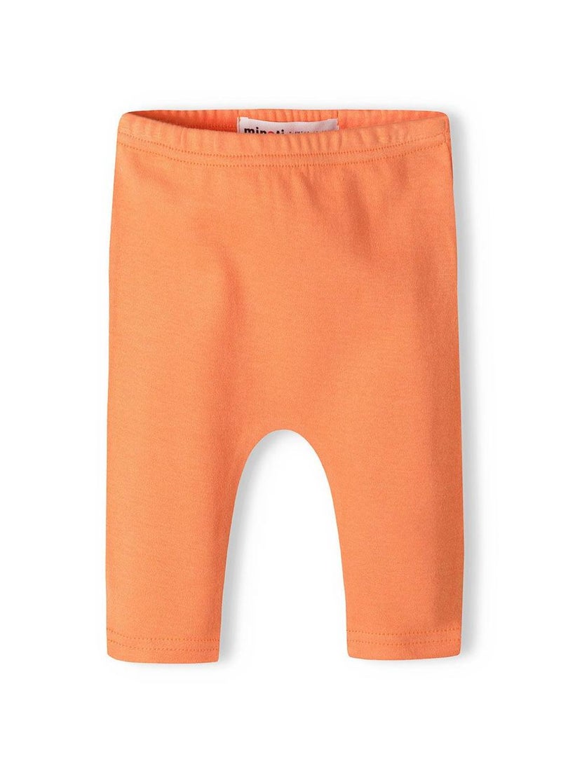 مينوتي طقم بناطيل أولاد رضع قطعتين بخصر مطاطي ونقشة - Image 4