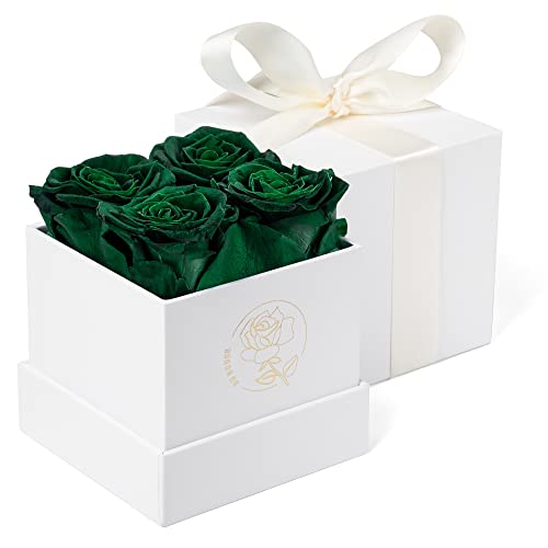 DuHouse 4pcs Preserved Rose Box of Forever Flower Eternal Roses Preserved Flowers for Valentine Gift Birthday Thanksgiving Hunt Green - Image 1