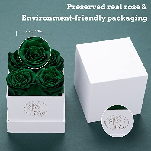 DuHouse 4pcs Preserved Rose Box of Forever Flower Eternal Roses Preserved Flowers for Valentine Gift Birthday Thanksgiving Hunt Green - Image 3