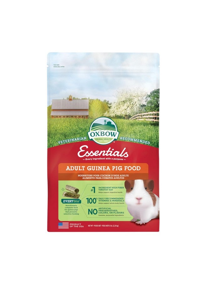 أوكسبو طعام خنزير غينيا أساسيات أوكسبو، خنزير غينيا بالغ، مصنوع من تبن تيموثي أوكسبو، حبيبات طعام الحيوانات الأليفة مع فيتامين سي، منتجات حيوانات أليفة صغيرة، صنع في الولايات المتحدة الأمريكية، غني بالألياف، كيس 5 أرطال - Image 1