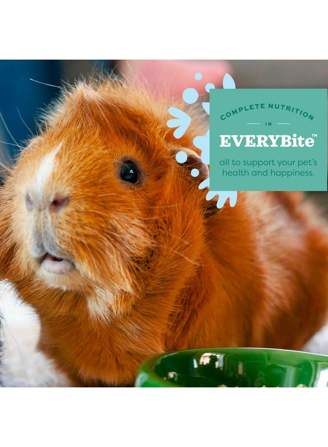 أوكسبو طعام خنزير غينيا أساسيات أوكسبو، خنزير غينيا بالغ، مصنوع من تبن تيموثي أوكسبو، حبيبات طعام الحيوانات الأليفة مع فيتامين سي، منتجات حيوانات أليفة صغيرة، صنع في الولايات المتحدة الأمريكية، غني بالألياف، كيس 5 أرطال - Image 5