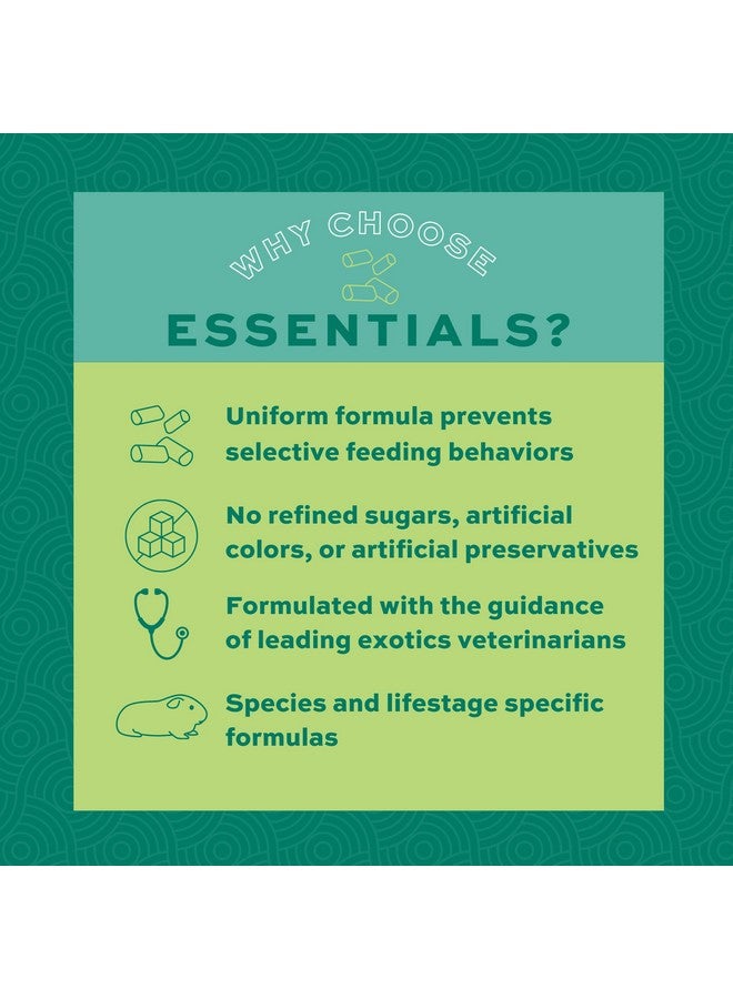 أوكسبو طعام خنزير غينيا أساسيات أوكسبو، خنزير غينيا بالغ، مصنوع من تبن تيموثي أوكسبو، حبيبات طعام الحيوانات الأليفة مع فيتامين سي، منتجات حيوانات أليفة صغيرة، صنع في الولايات المتحدة الأمريكية، غني بالألياف، كيس 5 أرطال - Image 4